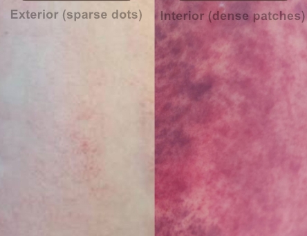 Sha Pattern 2.jpg