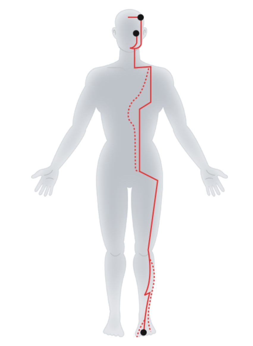 Foot - Yangming Stomach Meridian.jpg