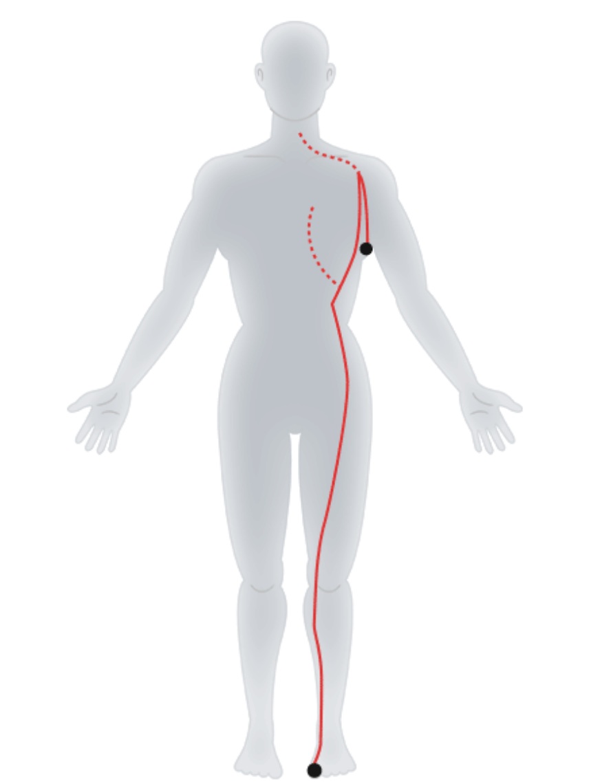 Foot - Taiyin Spleen Meridian.jpg