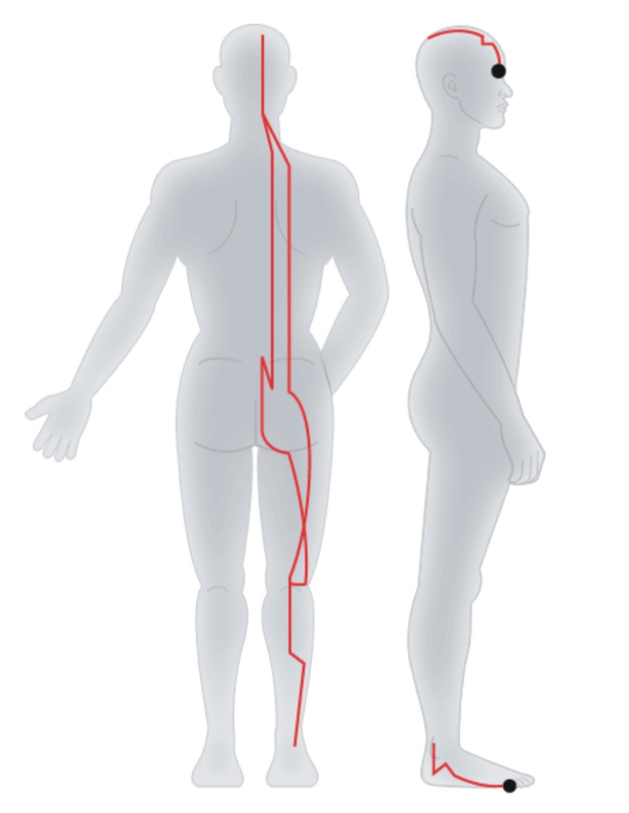 Foot - Taiyang Bladder Meridian .jpg