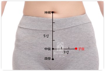 Uterus Point.jpg Uterus Point.jpg