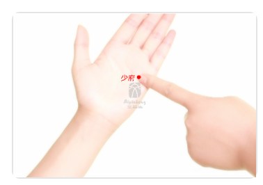 Shaofu Point.jpg