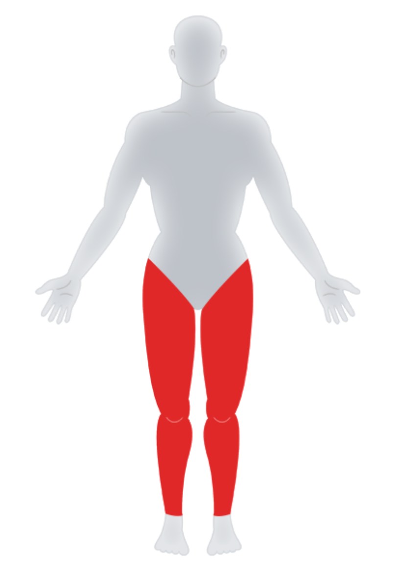 Acupoints of the Lower Limb.jpg