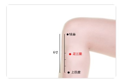 Zusanli Point.jpg