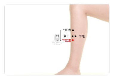 Xiajuxu Point.jpg