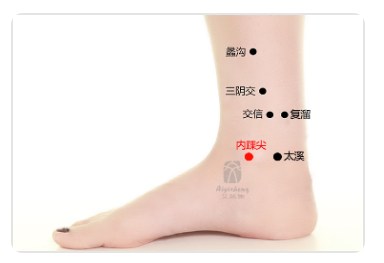 Medial Malleolus Tip Point.jpg