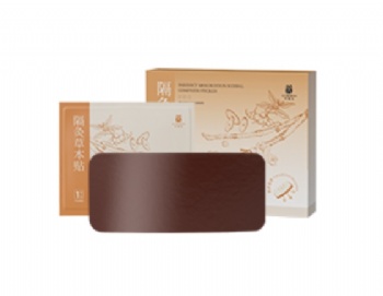 AiYiSheng Separated Moxibustion Herbal Patch